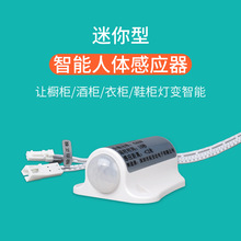 ����ֱ�� �¹������Ӧ����12V60W����ʱ����Ƹ�Ӧ�� ��Ӧ�����