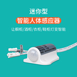 厂家直销 衣柜人体感应开关12V60W带延时橱柜灯感应器 感应灯配件