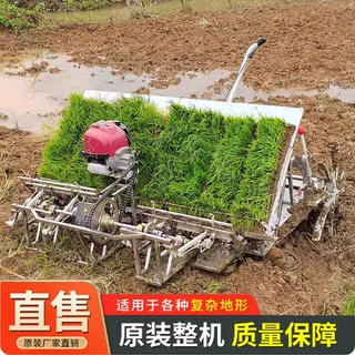 自走式6行8行水稻插秧机 大马力柴油插秧机 农田稻苗种植机栽苗机
