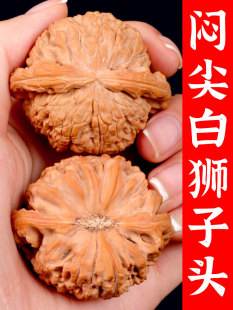 ������Ґ���ת{���^�ְѼ�Ұ����������S���ֽ�ԭɫ�Ϻ���