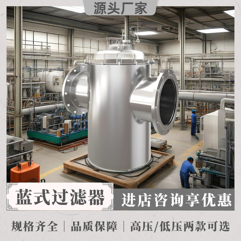 304不锈钢高压高低接管蓝式过滤器石油炼化过滤系统
