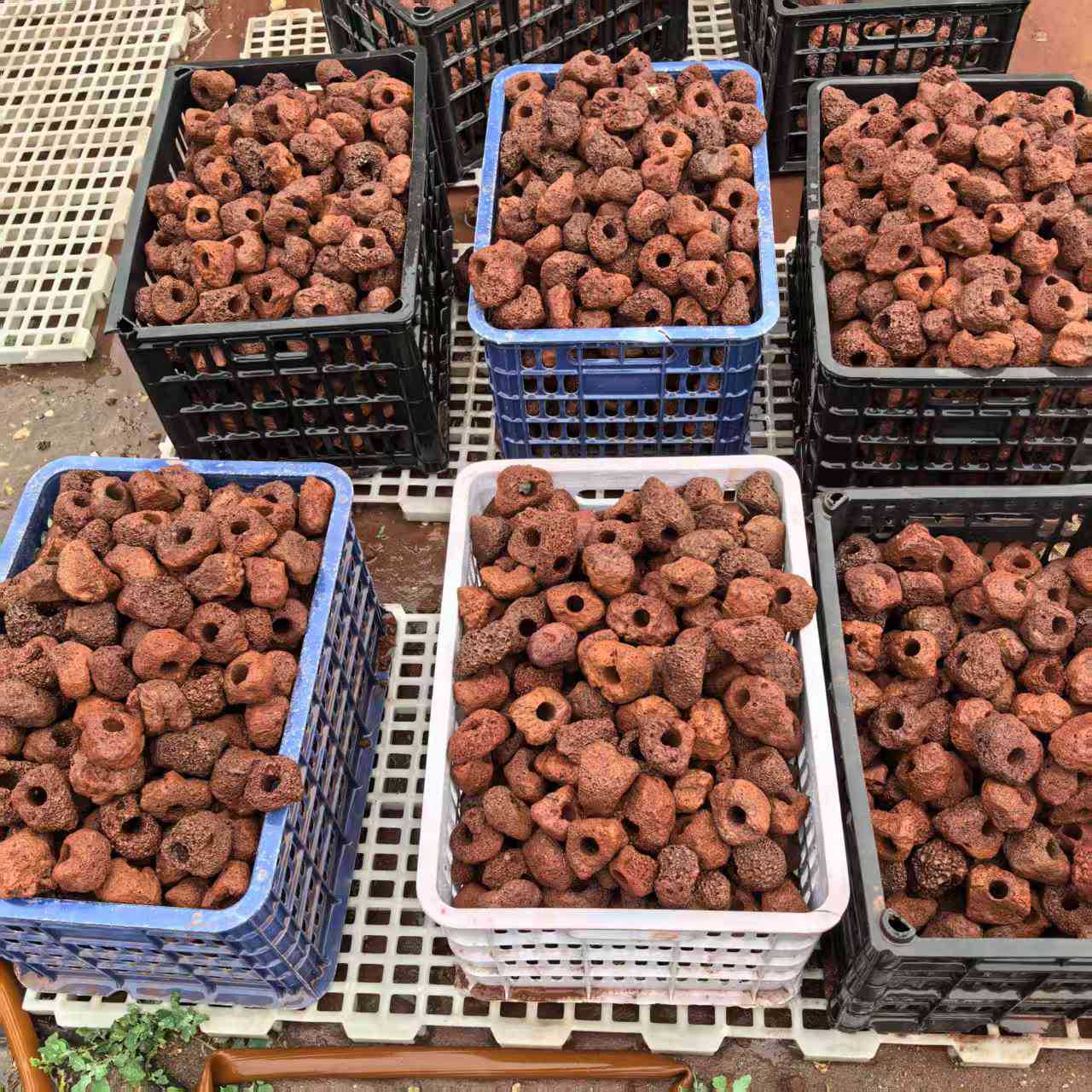 757c49f715560e6399aa20895fc81b