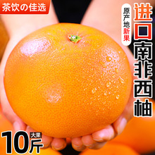南非进口红心西柚水果10斤柚子新鲜当季整箱红肉葡萄蜜柚孕妇包邮