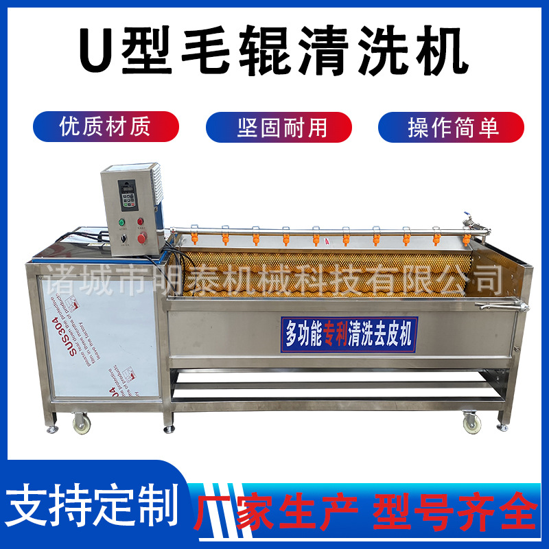 红薯U型毛辊清洗机 中药材黄芩清洗设备 鲤鱼去鳞机 土豆去皮机器