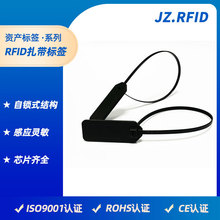 厂家定制一次性rfid扎带式电子标签 高档服装货物防伪UHF管理标签