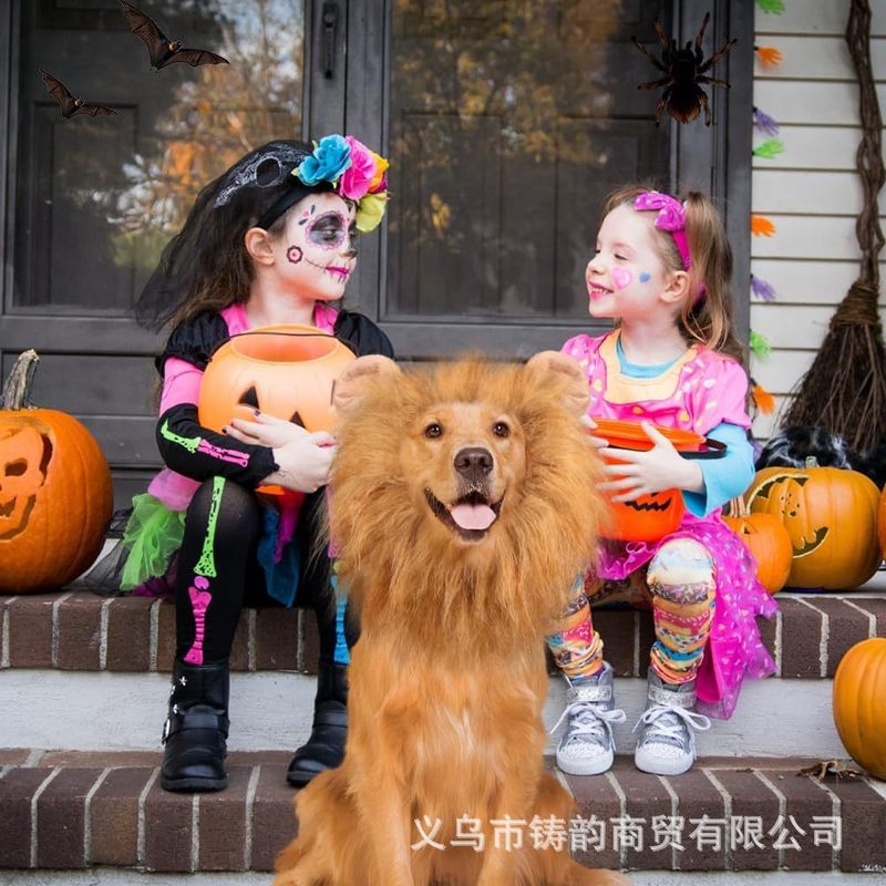 万圣节宠物狮子头套宠物变身搞怪狗狗假发宠物狮子围脖宠物服装|undefined