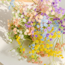 ���滨�M���ǼҾӲ廨������������c��Y�������bٻ�ܛӲ�z