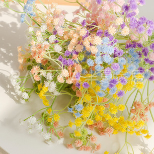 ���滨�M���ǼҾӲ廨������������c��Y�������bٻ�ܛӲ�z