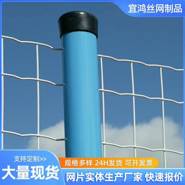 荷兰网绿色喷涂硬塑铁丝网焊接荷兰隔离养殖网幕墙挂件装饰铁丝网