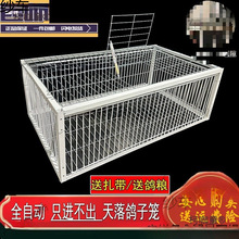 ����\����ֻ�M�������ӻ\����ץ���\����\����ȫ�Ԅ�������