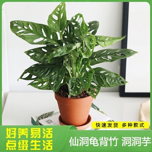 �ɶ�����������Ա��W�W�t��Ъ�����ٿ��҃�����Gֲ���ܶ�������