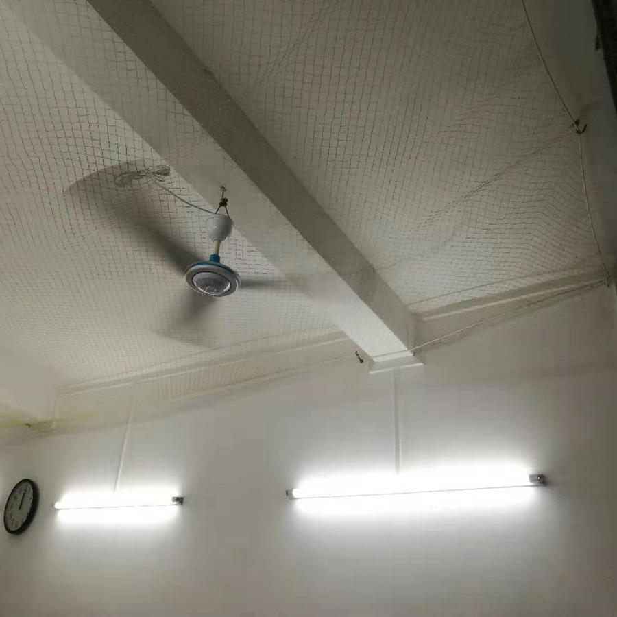 防护网 尼龙单丝透明防护网 广州胶丝聚乙烯PE隐形安全防护网厂