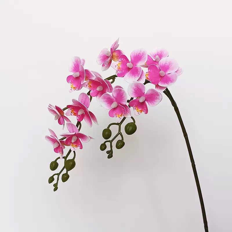 2 머리 3D 작은 호접란 핑크