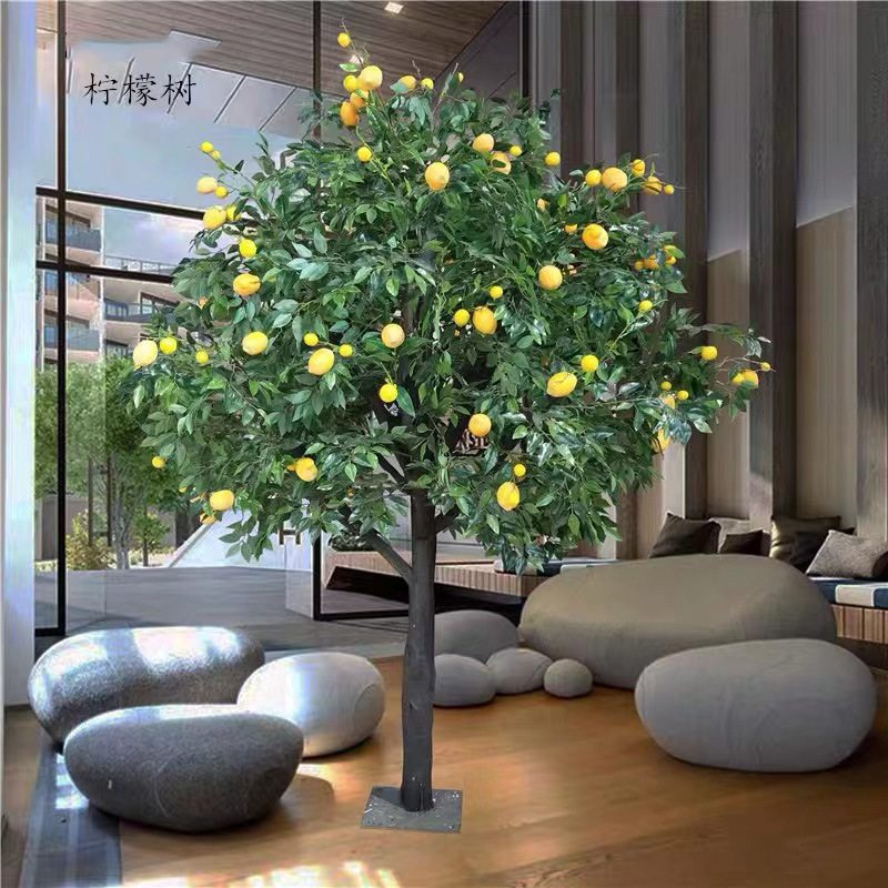 7ea964bf277eeb7b9aa93da6e5104e