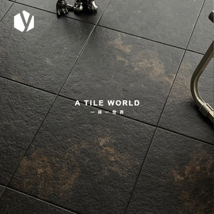 ɫʯy͹L¹Ŵɴu߼lgN̨300شu