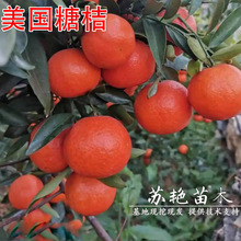 �����ǽۘ���޽��ش����Ә�ͥԺ�̨���Ե��Ը��ٹ����箔��Y��