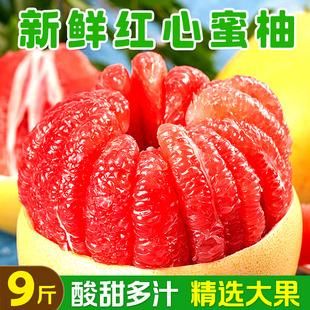 �t�����������r����ˮ����������r��ժ���t������������Y��