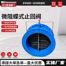 批发微阻缓闭蝶式止回阀球墨铸铁材质法兰静音管道缓闭消声止回阀