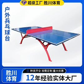 其他健身器材;健身路径;篮球架