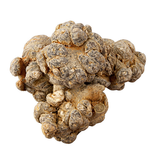 Yunnan Wenshan Panax notoginseng wholesale 13 heads Yunnan Wenshan special grade Panax notoginseng and Tianqi Chinese medicinal materials