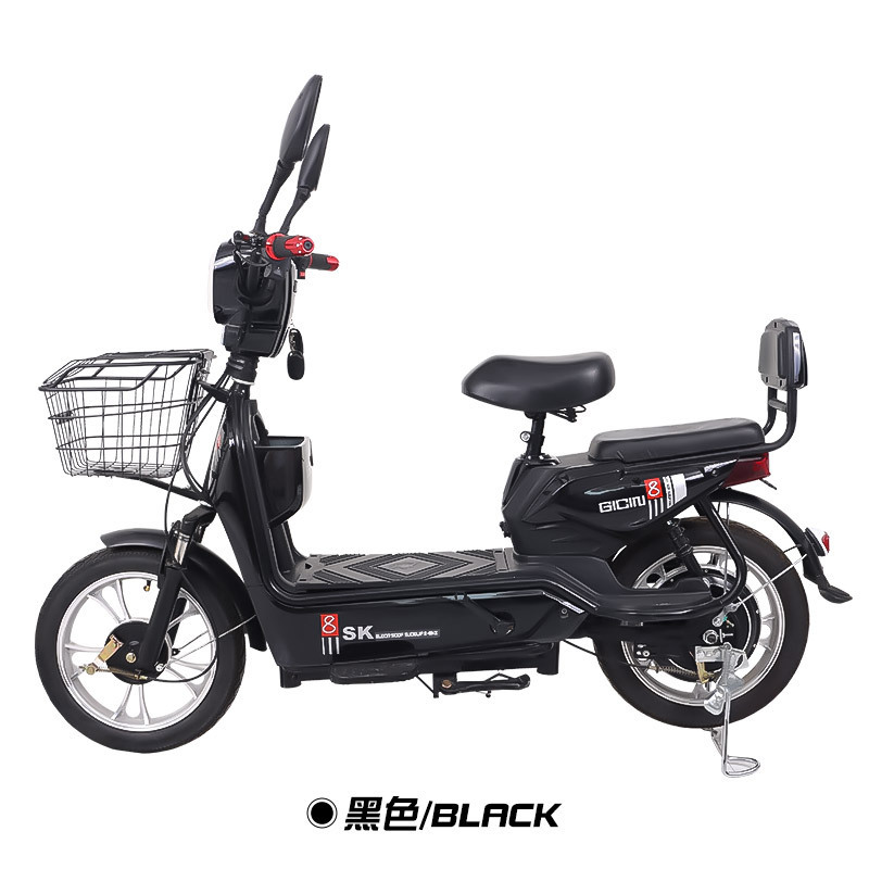 Mayorista de dos ruedas adultos larga duración transfronterizos adultos viajeros doble bicicleta eléctrica bicicletas coche de batería