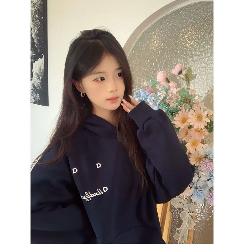American retro letter embroidery hooded sweatshirt for women, new autumn and winter loose, casual, oversized sweatshirt top