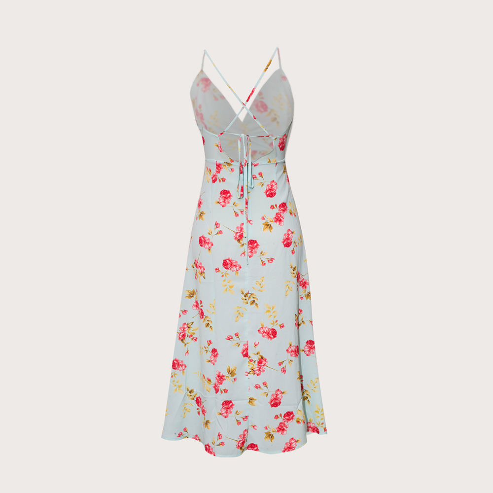Dress Back View