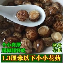 珍珠香菇精选小小花菇特产珍珠菇冬菇椴木迷你小花菇蘑菇干货包邮