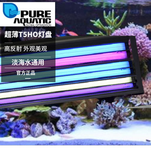 P�� Polar Lummiin Pro II ����T5HO���P����ˮͨ��