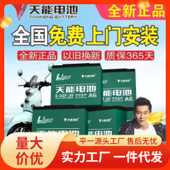 電気自動車鉛酸天エネルギー電池48V電気自動車電池36V60V72V三輪車電池を買い替える