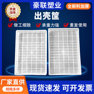 �����������80PP���D���u������������r���Ͽ������ռ{���D��