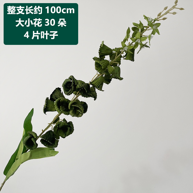 Green lily of the valley