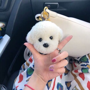Bixiong Teddy Dog Plush Bag Pendant Lamb Wool White Dog Cute Bag Cartoon Keychain Birthday Gift