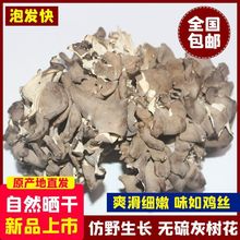 2024年新品灰树花舞茸菇庆元灰树菇净重无干燥剂柴火烘烤自产自销