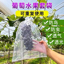 果树防虫网袋防鸟纱网袋保护葡萄袋无花果番石榴草莓套袋桃子套袋