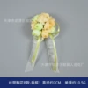 Ribbon B model-Champagne
