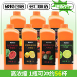 博多家园浓缩果汁金桔柠檬汁冲饮芒果百香果山楂汁西瓜葡萄汁