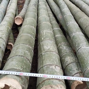 Bamboo stick decoration bamboo pole bamboo pole ceiling bamboo decoration partition anti-corrosion bamboo bamboo dried wholesale