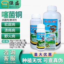 ���˾�20%����~��ײ�ܛ���������~�߲����ٯ��財�rș������