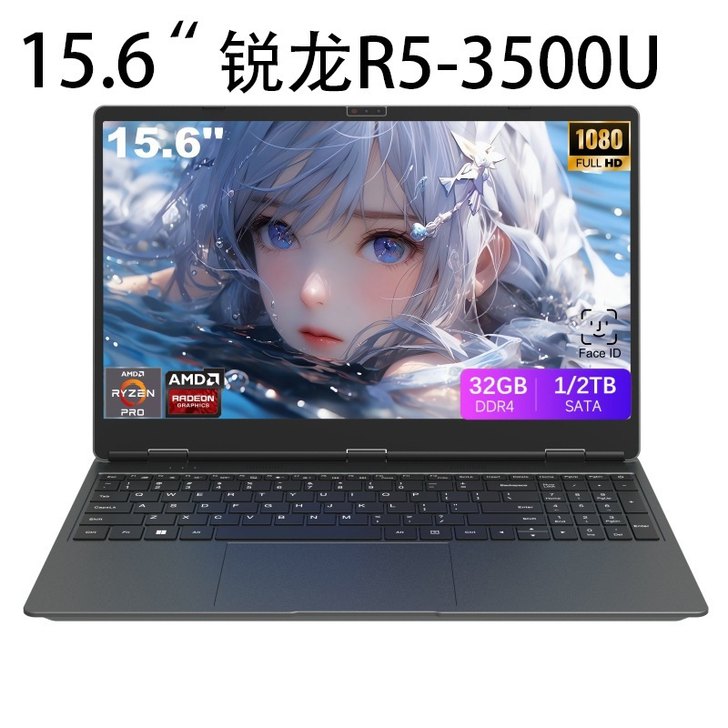 New 15.6inch Amd Ryzen R5-3500U Thin and Light Business Office Face Recognition Laptop