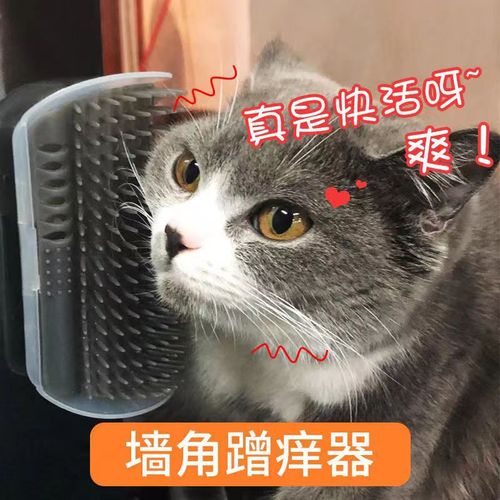 Cat corner scratching post cat toy itch scratching toy scratcher massage brush for cats face cat scratcher
