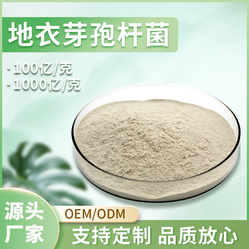 地衣芽孢杆菌1000亿 宠物益生菌 畜禽动物水产养殖 畜牧饲料添加