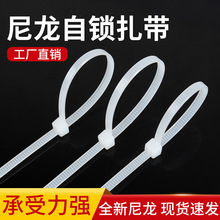 ���l�������i�����F؛����������늾���|����ȫ�������iʽ������