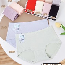 2025�¿��������Ůʿ�ރ�ѝ��a��ɫ����Ī�������z���ѝ2037