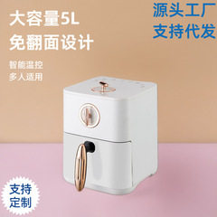 家庭用大容量エアフライヤー 5L メカニカルフリーフリップ串 5 人用インテリジェント温度制御卸売