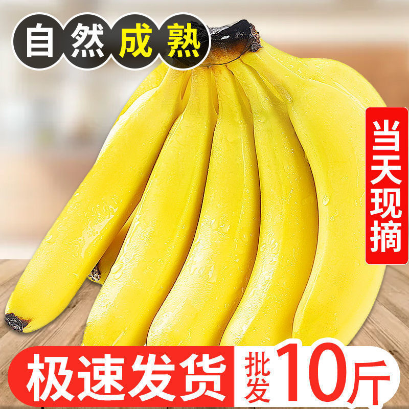 云南高山大果香蕉香嫩甜薄皮当季新鲜水果5/10斤1整箱批发|ms