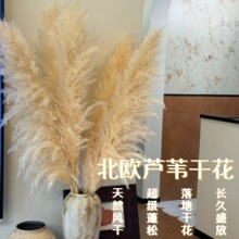 ���W�JȔ�ɻ������W�t�滨�����b��҃���Ȕ������Ȼ��ؿ͏d�[�O