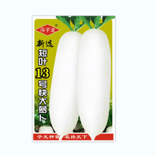 ꖹTN繫˾ֱNֲ߲˷Nx~13̖̫}