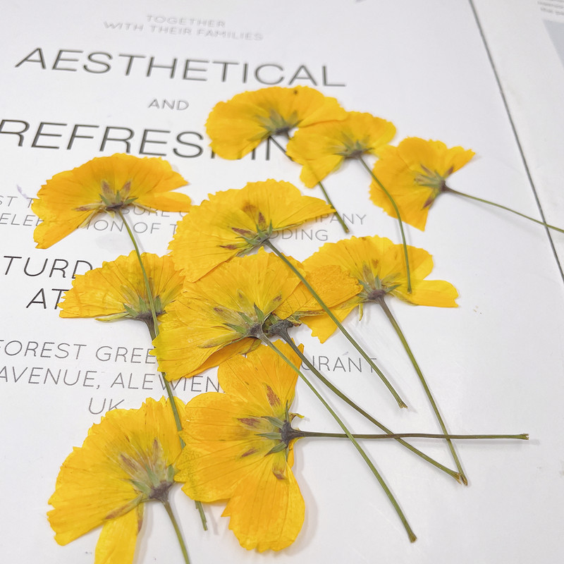 微信图片_20220919171251