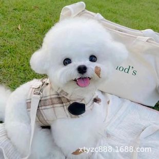 �pѪ�y������Ȯ���w���N�豭Ȯ�L������B�������ﹷ���l�r������